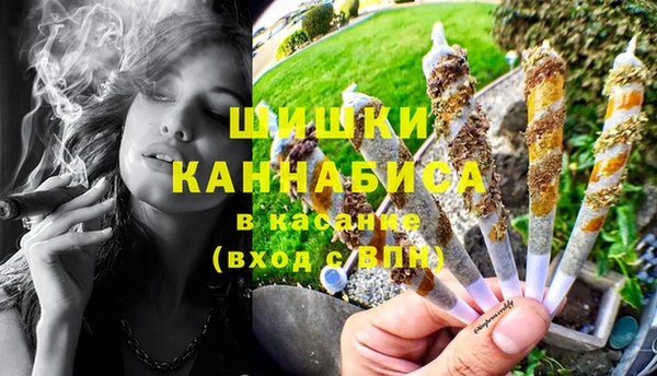 трава Абаза