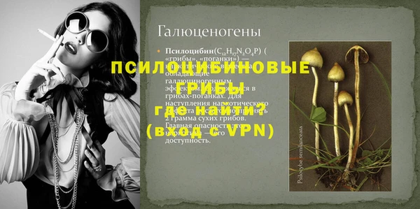 трава Абаза