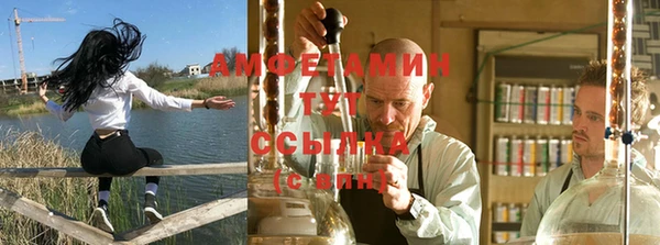 трава Абаза